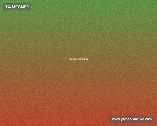 香港站女排赛事(女排香港活动)