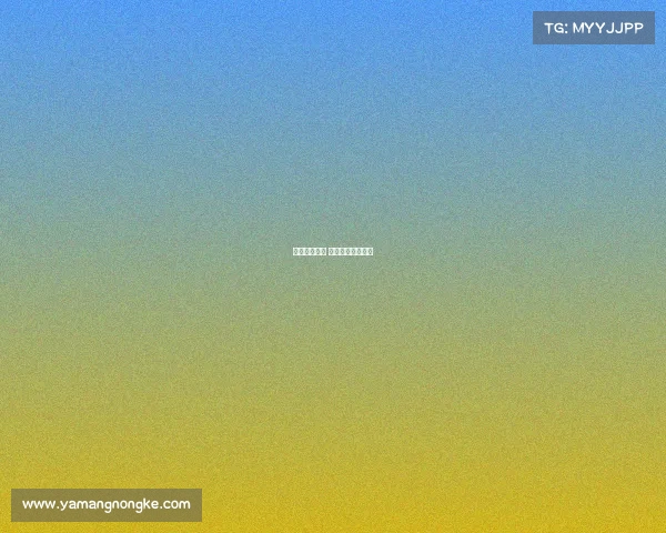 一决天下赛事 天下第一经典对决